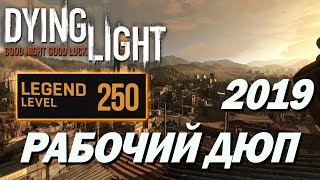 РАБОЧИЙ ДЮП 2019. 250 Уровень Легенды В Начале Игры. Dying Light
