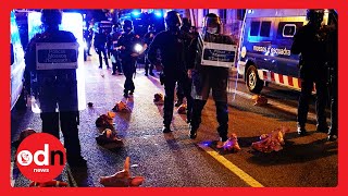 Catalonia: Angry Protesters Throw Pig Heads at Police Over President’s Suspension
