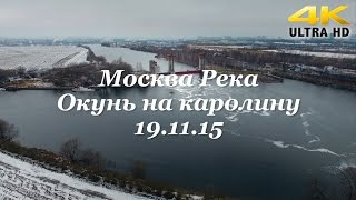 Трудовой окунь на каролинскую оснастку - Fishing Today