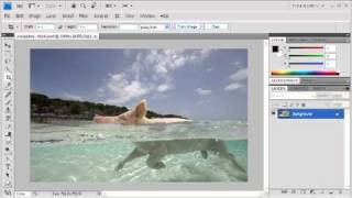 3.4 Cropping to a Specific Size: Adobe Photoshop CS4 Video