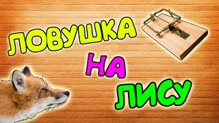 ЛОВУШКА НА ЛИСУ ЗА 5 МИНУТ !!!
