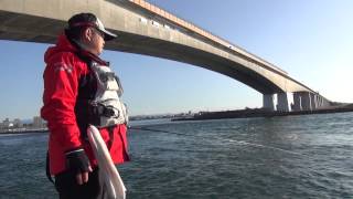 シリーズ浜名湖63 浮きフカセで釣るクロダイ