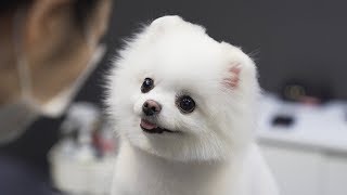 귀여운 맛 좀 볼텨?