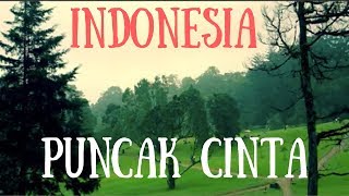PUNCAK INDONESIA BEST AERIAL VIEW IN CINEMATIC