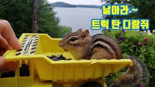 날으는 ~ 노란트럭을 탄 다람쥐 제니