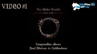 Soul Shriven in Coldharbour (CatOfFay TESO guide #1)