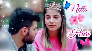 Hari & Netto ❤️ Sou o cara pra você - Thiaguinho♥️