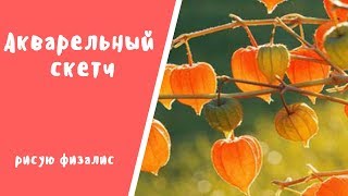 Акварельный СКЕТЧ // как нарисовать физалис