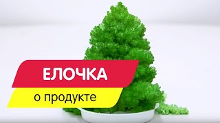 Выращивание кристаллов. Новогодняя ёлочка.