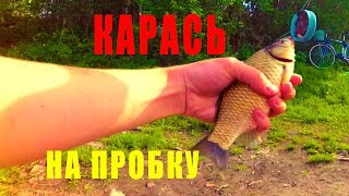 Ловля Капризного майского карася - Ловля на Пробку и Кормак