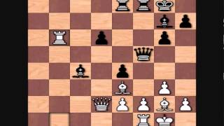 Hikaru Nakamura's Top Games: Anatoly Karpov vs Nakamura