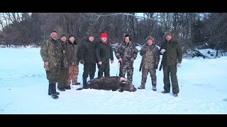 Охота на кабана перед закрытием сезона [Трофейная охота]