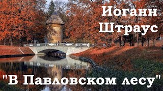 Иоганн Штраус (сын) "В Павловском лесу" 20.05.2018 Оркестр Филармонии, Евгений Хохлов
