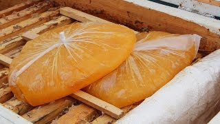 Зимовка пчел | Зимняя подкормка| Канди или мед?