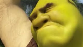 Shrek 5 leaked trailer #1