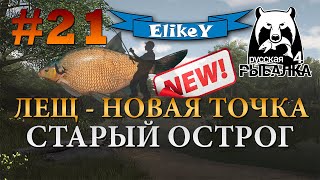 Лещ - Новая Точка №2 • Фарм серебра • Фидерная ловля • Старый Острог • Русская Рыбалка 4 #21