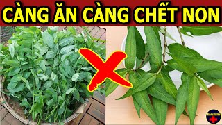 Tác Hại Của RAU NGÓT, RAU RĂM Càng Ăn Càng Tổn Thọ Nếu Chưa Biết Điều Này