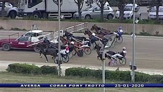 Aversa trotto 25 Gennaio 2020 - Corsa Pony Trotto