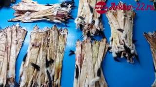 Шкурки горностая сырьё