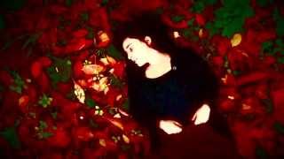 Frères humains - Ma Sarah