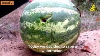 Sex-rape watermelon. Трахнули арбуз.