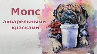 Мопс акварелью -  Pug watercolor speed painting - Andrew Pugach