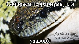Сборка террариума