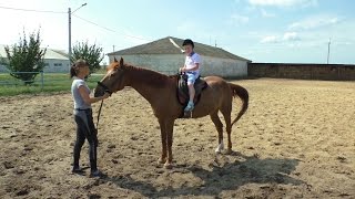 БОРИСОГЛЕБСК Учимся ездить верхом на лошади Конно-спортивная школа КОРМИМ ЛОШАДОК Где живут? КОНЮШНЯ