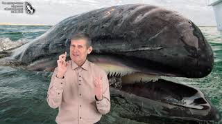 "Морской гигант" -  для глухих и слабослышащих, журнал Светильник №1 2019 Новинка МСЦ ЕХБ