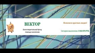 Отзыв на благотворительный фонд помощи населению "Вектор"