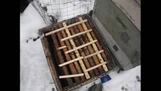 клуб пчел на зимовку собрался у задней стенке улья - что делать ?