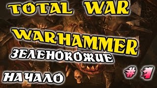 Total War: WARHAMMER. ЗЕЛЕНОКОЖИЕ. НАЧАЛО
