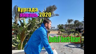 SeaGull Beach Resort.январь 2020.Хургада."Обзор"