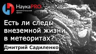 Дмитрий Садиленко - Есть ли следы внеземной жизни в метеоритах?