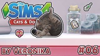 PREVENTIVNÍ PROHLÍDKA A NEVYDAŘENÉ PÁŘENÍ |  Let's Play - The Sims 4 Psi a kočky (6.část)