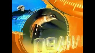 Галилео. Робот охранник 04 (2007 03 29)