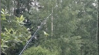 Карась на фидер. Фидерные поклёвки ОТ и ДО. Рыбалка в июне