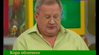 43 Сибирское здоровье – и облепиха