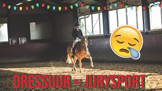 HET BLIJFT JURYSPORT.. ☹️ | Vlogmas | Haflingers King & Beau