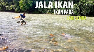 Jala Ikan yang Apes - Ikan pada Lari semua | Traditional catch fish