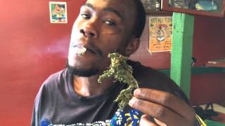 Legalization Of Marijuana in St Vincent