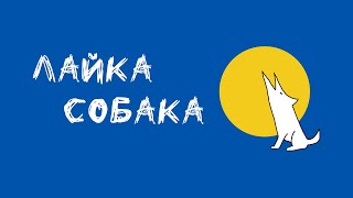 Лайка - Собака