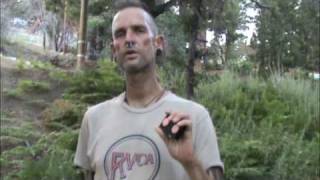 Beyond Raw Food (28): theTerminator Zapper