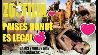 ZOOFILIA-SEXO CON ANIMALES -PAÍSES DONDE ES LEGAL EL BESTIALISMO -HISTORIAS MAS ASOMBROSAS ZOOFILIAS