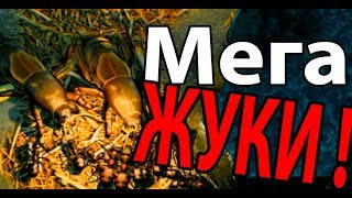 Мега ЖУКИ !