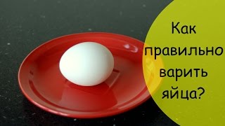 Как варить яйца правильно