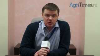 Плохой уход за коровой - причина многих болезней