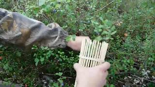 DIY-Стакан-комбайн для сбора ягод своими руками / Glassful -harvester for picking berries