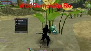 world of dragons гайды