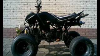 Bashan 500cc photos rebuilt
